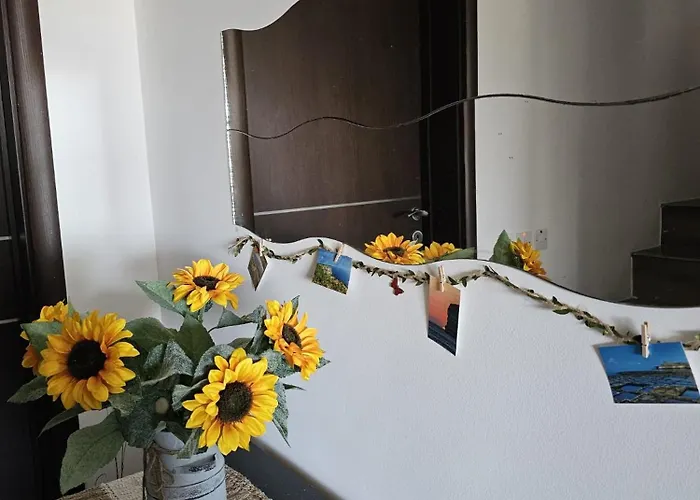 Soulnest Light Bedroom And Shared Bathroom Qbajjar