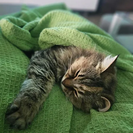 Soulnest Light Bedroom And Shared Bathroom