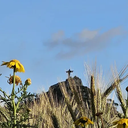 Privatunterkunft Soulnest Light Bedroom And Shared Bathroom Qbajjar