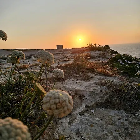 Soulnest Light Bedroom And Shared Bathroom Privatunterkunft