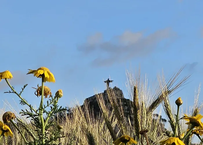 Δωμάτια σε οικογενειακή κατοικία Soulnest Light Bedroom And Shared Bathroom Qbajjar